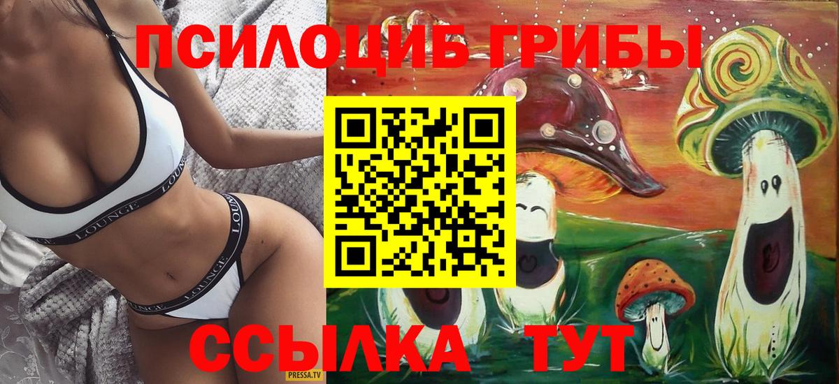 Галлюциногенные грибы Psilocybine cubensis  Вход с VPN  Сосновоборск  Псилоцибиновые грибы Psilocybe 