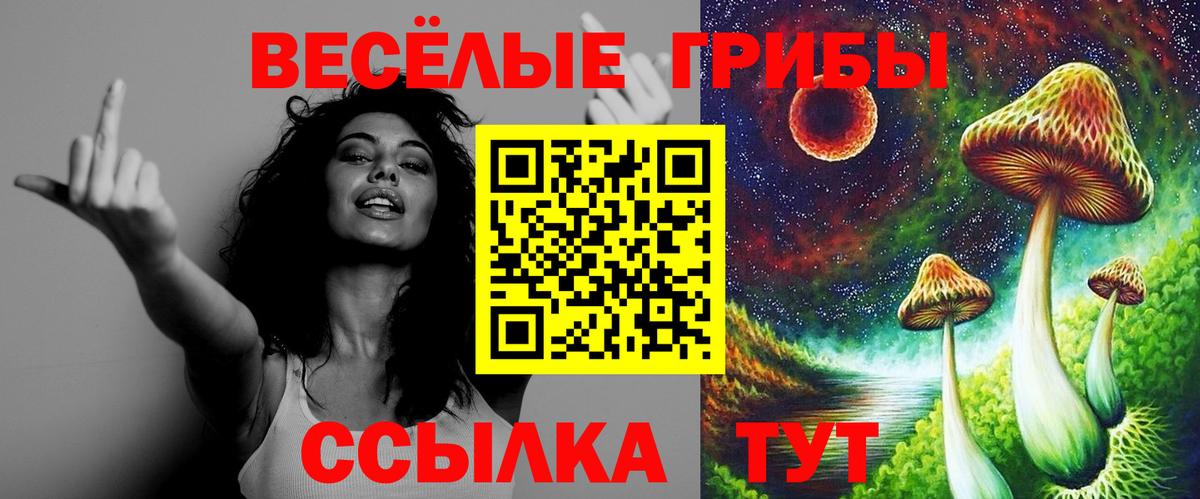 Псилоцибиновые грибы мицелий Сосновоборск